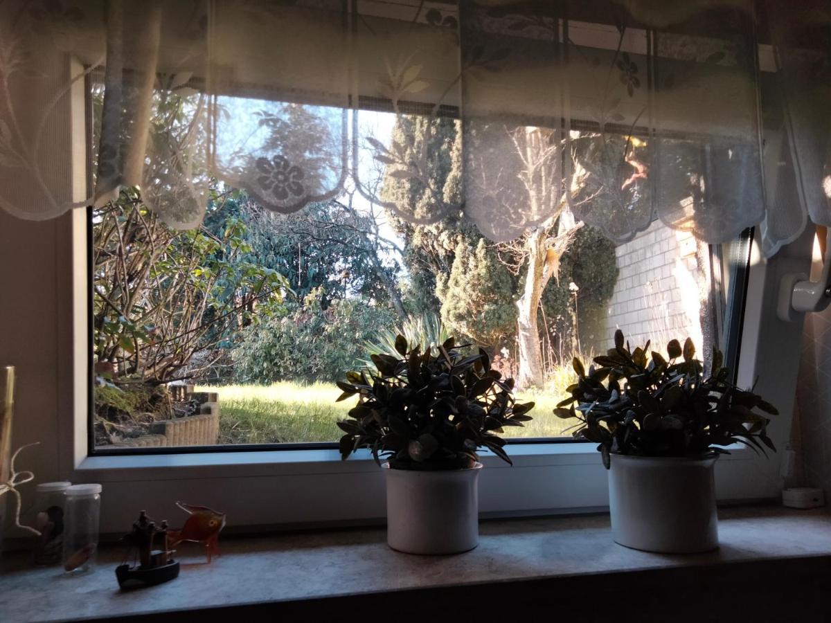 Ferienwohnung Coco Haltern Exteriér fotografie